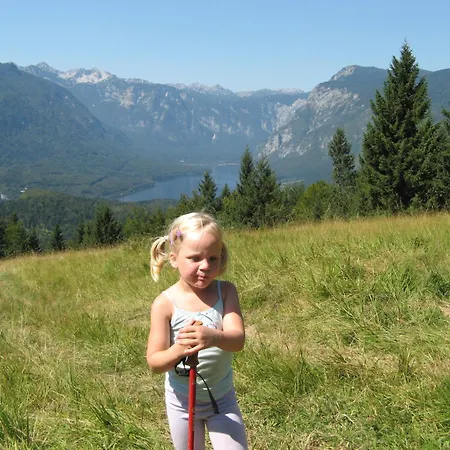 Apartments & Hostel Bohinj-3